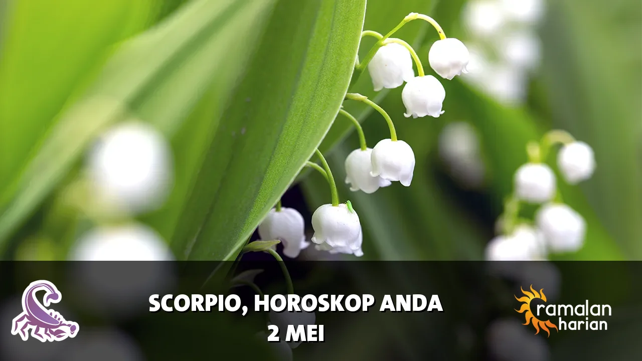Horoskop Scorpio untuk Sabtu, 2 Mei 2026