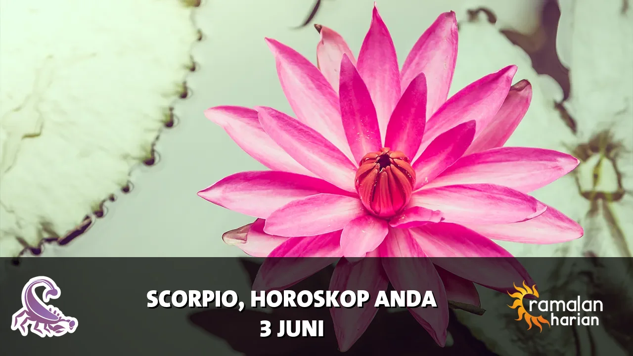 Horoskop Scorpio untuk Rabu, 3 Juni 2026
