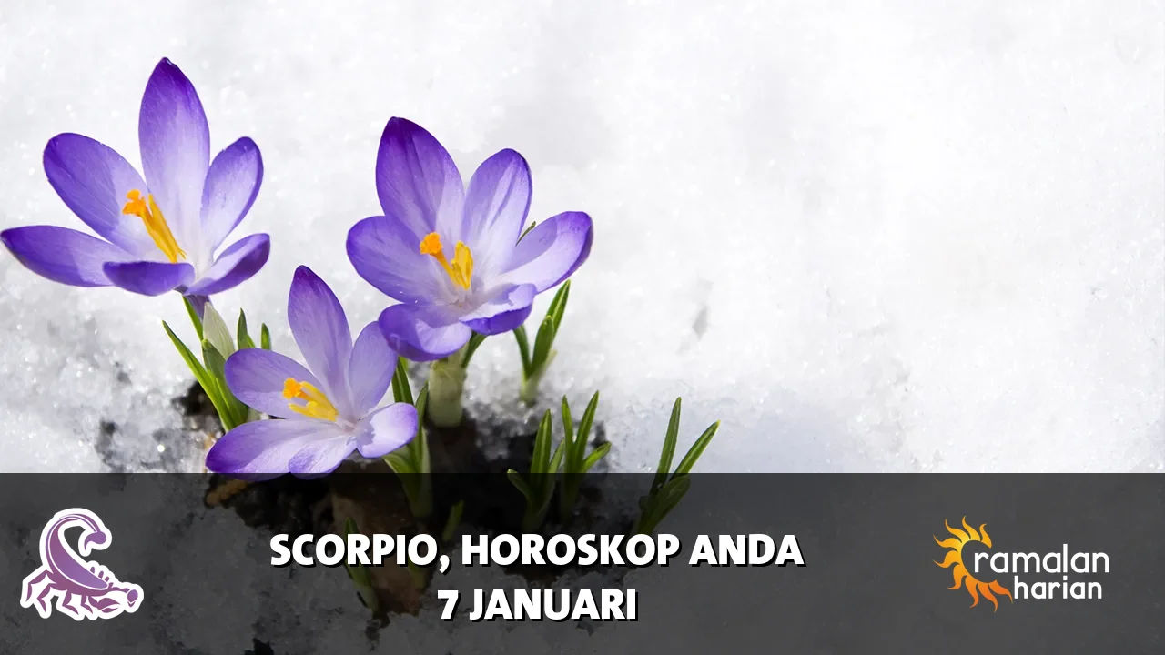 Horoskop Scorpio untuk Rabu, 7 Januari 2026