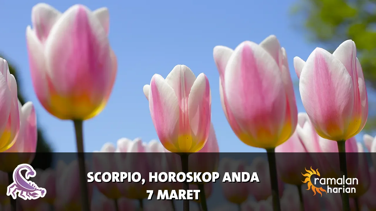 Horoskop Scorpio untuk Sabtu, 7 Maret 2026