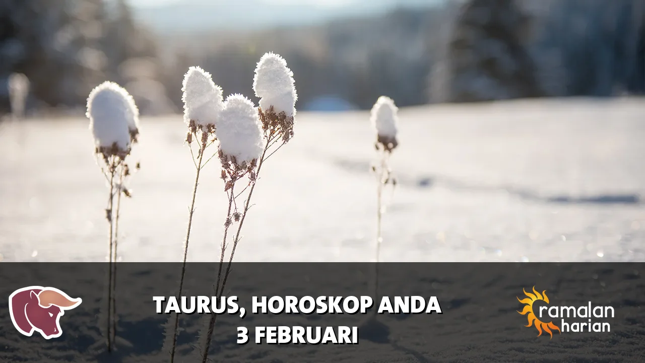 Horoskop Taurus untuk Selasa, 3 Februari 2026