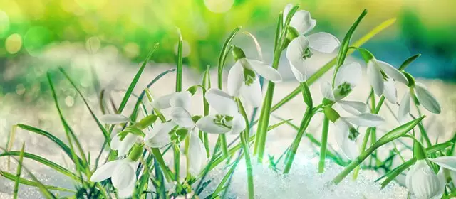 Horoskop tanggal Senin 12 Januari 2026