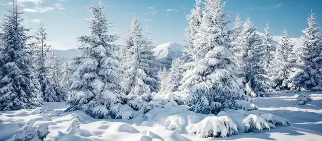 Horoskop tanggal Sabtu 24 Januari 2026