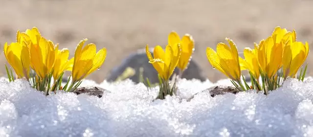 Horoskop tanggal Minggu 25 Januari 2026