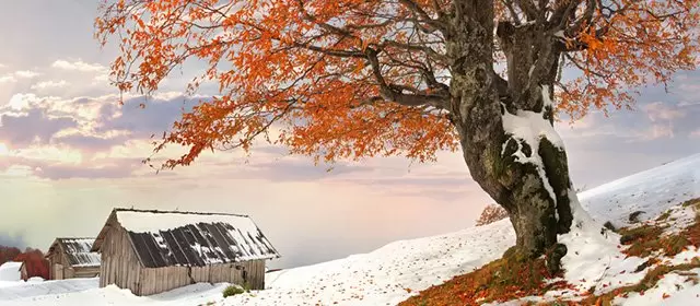 Horoskop tanggal Sabtu 31 Januari 2026