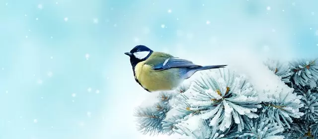 Horoskop tanggal Senin 2 Februari 2026