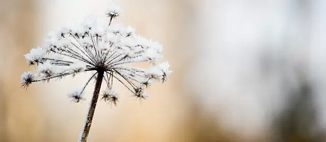 Horoskop tanggal  Selasa 3 Februari 2026