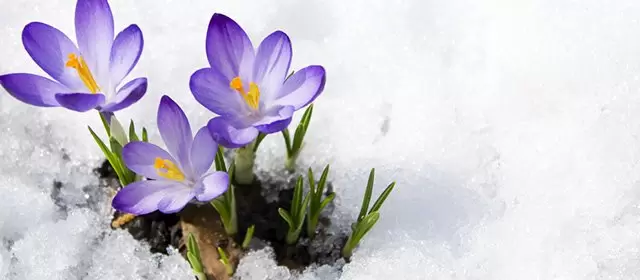 Horoskop tanggal  Kamis 5 Februari 2026