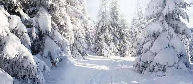 Horoskop tanggal  Rabu 11 Februari 2026