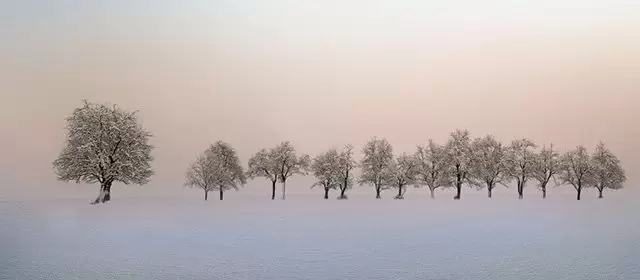 Horoskop tanggal  Senin 16 Februari 2026