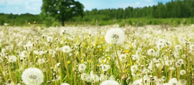 Horoskop tanggal  Selasa 3 Maret 2026