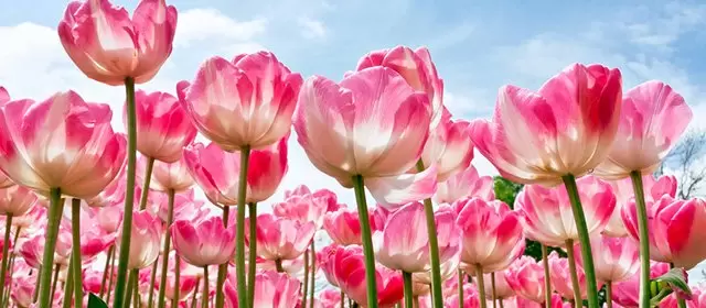 Horoskop tanggal  Sabtu 7 Maret 2026