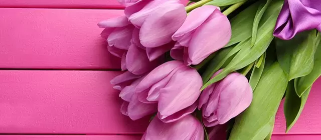 Horoskop tanggal  Minggu 8 Maret 2026