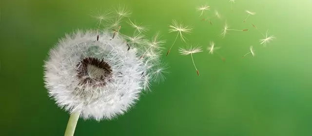 Horoskop tanggal  Rabu 11 Maret 2026