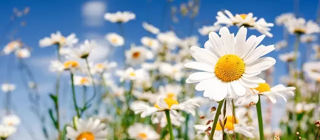 Horoskop tanggal  Minggu 15 Maret 2026