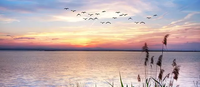 Horoskop tanggal  Senin 16 Maret 2026