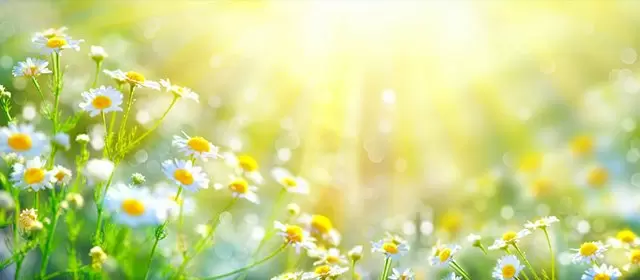 Horoskop tanggal  Kamis 19 Maret 2026