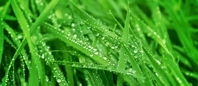 Horoskop tanggal  Jumat 20 Maret 2026