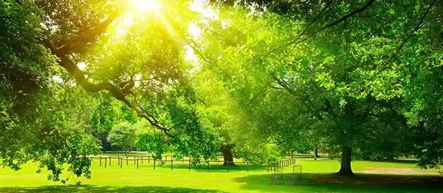 Horoskop tanggal  Minggu 22 Maret 2026