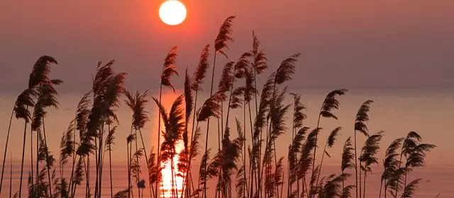 Horoskop tanggal  Minggu 5 April 2026