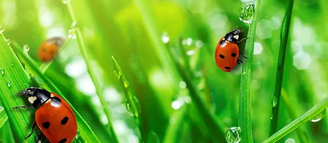 Horoskop tanggal  Minggu 12 April 2026