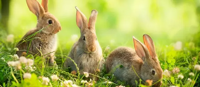 Horoskop tanggal  Rabu 15 April 2026