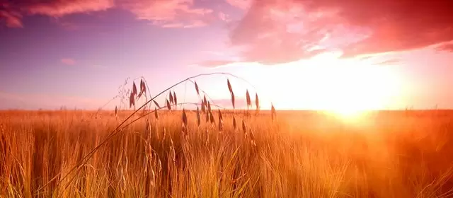 Horoskop Juni 2026