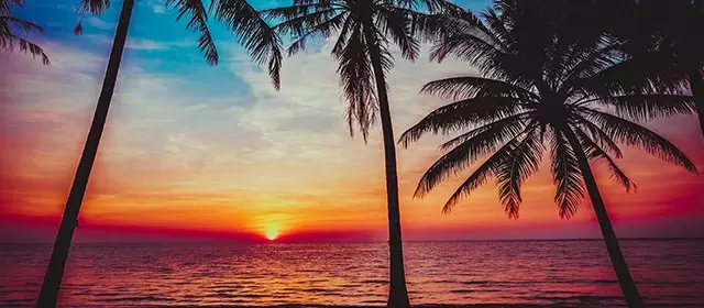 Horoskop untuk Minggu 31 Agustus 2025