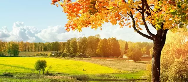 Horoskop untuk Jumat 3 Oktober 2025