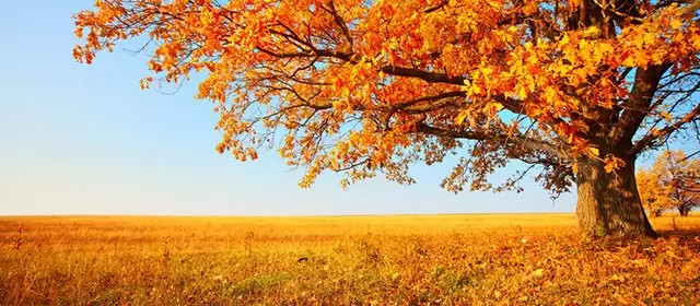 Horoskop untuk Kamis 9 Oktober 2025
