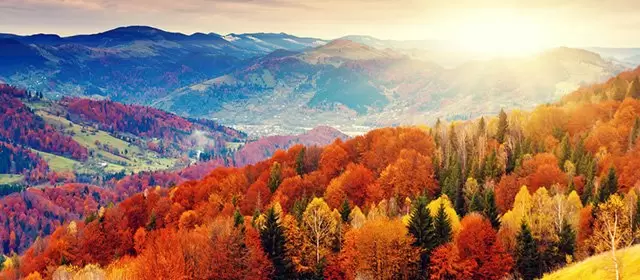 Horoskop untuk Kamis 16 Oktober 2025