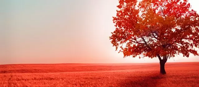 Horoskop untuk Jumat 17 Oktober 2025