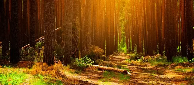 Horoskop untuk Senin 20 Oktober 2025