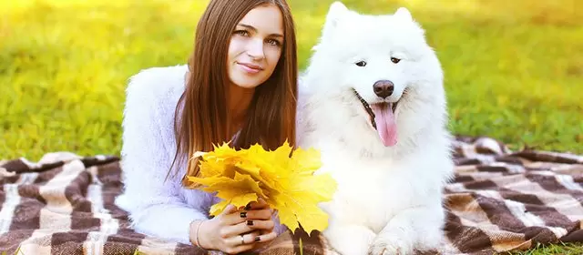 Horoskop untuk Minggu 26 Oktober 2025