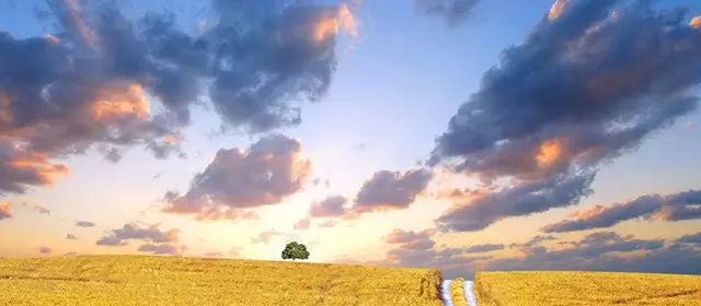 Horoskop September 2026