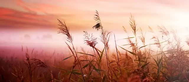 Horoskop tanggal  Selasa 4 November 2025