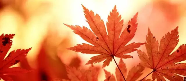 Horoskop tanggal Sabtu 8 November 2025