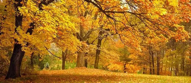 Horoskop tanggal Senin 10 November 2025