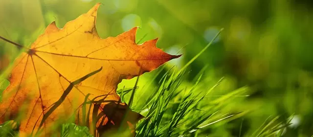 Horoskop tanggal Selasa 11 November 2025