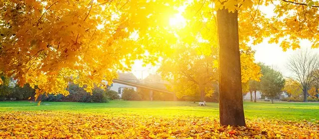 Horoskop tanggal Rabu 12 November 2025