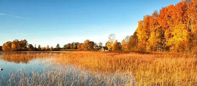 Horoskop tanggal  Kamis 13 November 2025