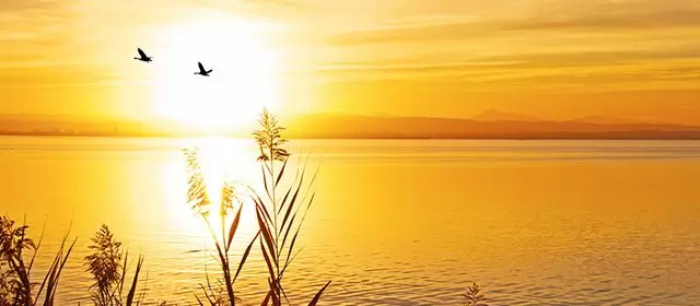 Horoskop tanggal  Jumat 14 November 2025