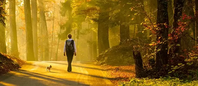 Horoskop tanggal  Senin 17 November 2025