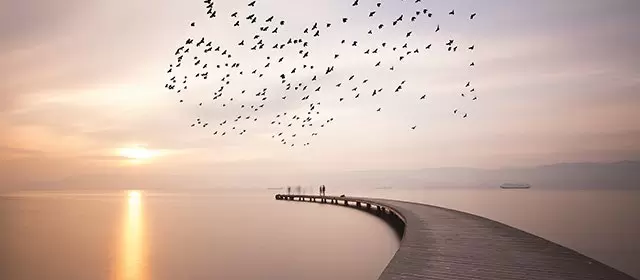 Horoskop tanggal  Kamis 20 November 2025