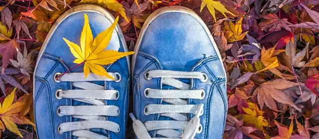 Horoskop tanggal  Jumat 21 November 2025