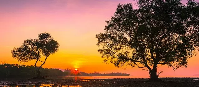 Horoskop tanggal  Sabtu 22 November 2025