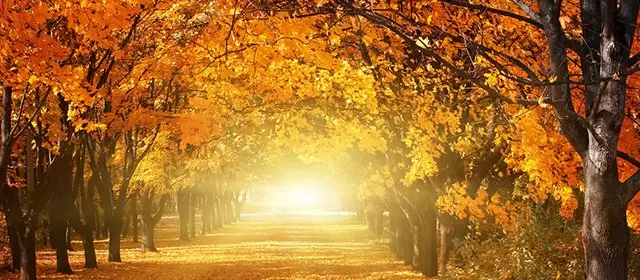 Horoskop tanggal  Senin 24 November 2025