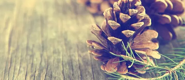 Horoskop tanggal Minggu 7 Desember 2025