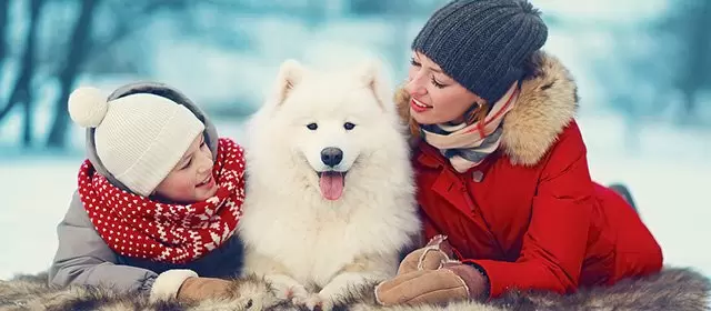 Horoskop tanggal Minggu 14 Desember 2025