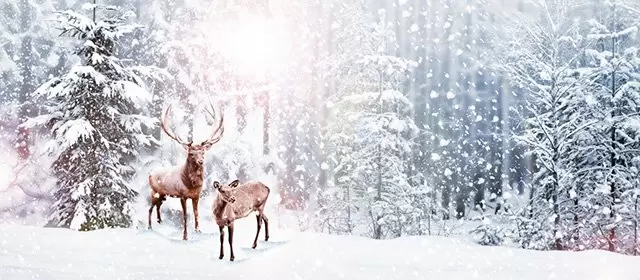 Horoskop tanggal Rabu 17 Desember 2025